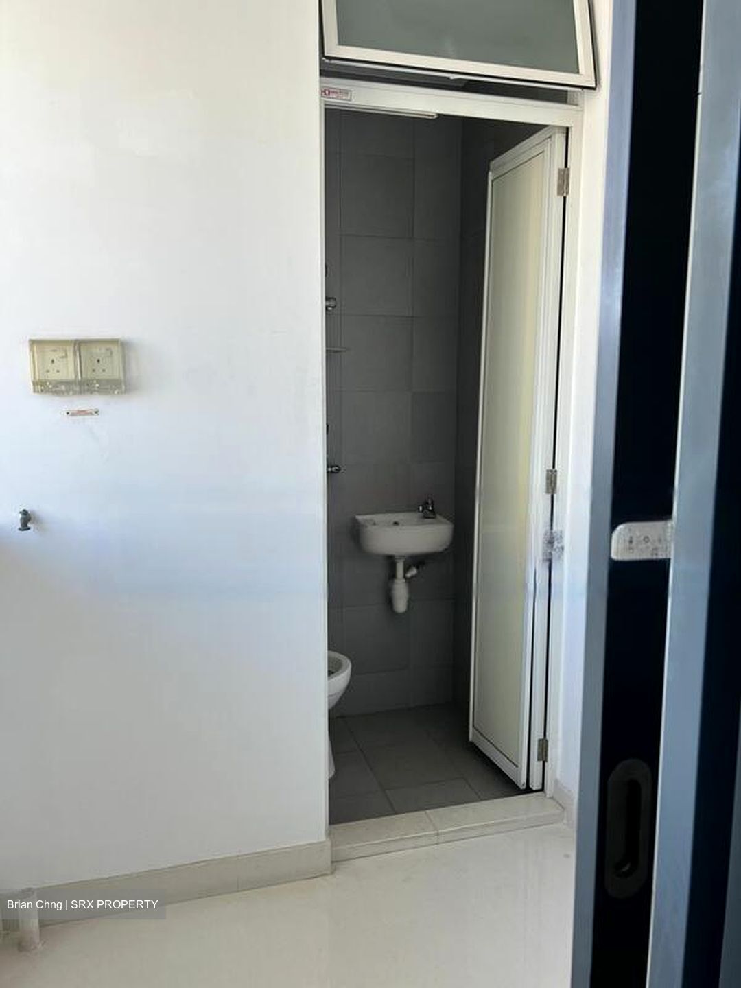 Lucida (D11), Apartment #477599881